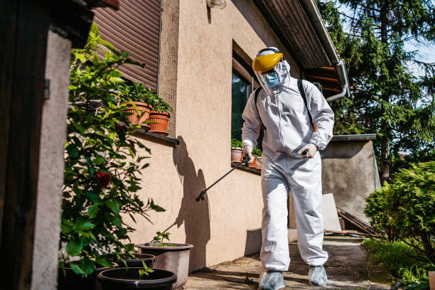 Best Flea Control Services  in Rock Hill, NY