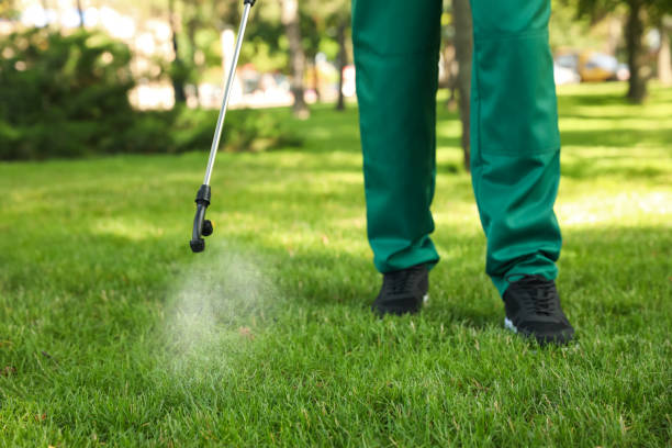 Best Pest Prevention Services  in Rock Hill, NY