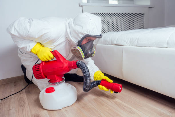 Best Affordable Pest Control Services  in Rock Hill, NY