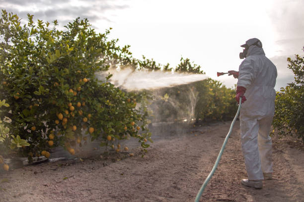 Rock Hill, NY Pest Control Company