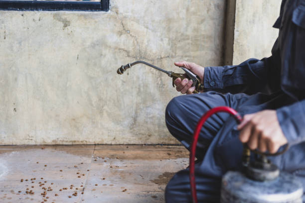 Best Local Pest Control Services  in Rock Hill, NY